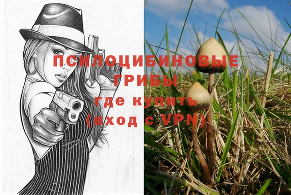 марки lsd Бородино