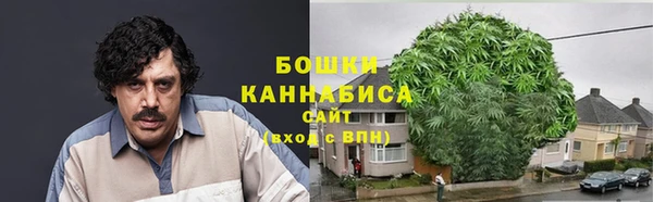 марки lsd Бородино