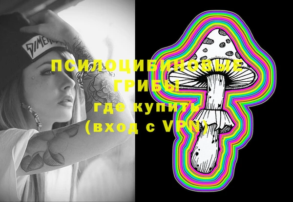 марки lsd Бородино