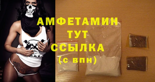 стаф Верея