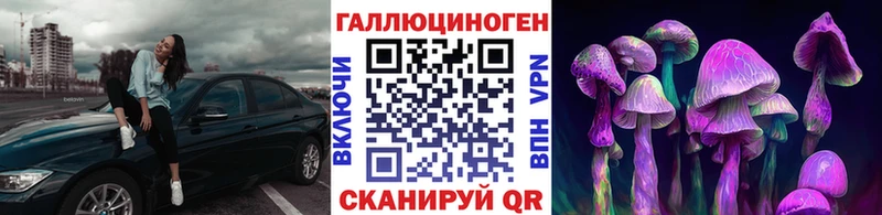 Псилоцибиновые грибы Cubensis  Новосокольники 