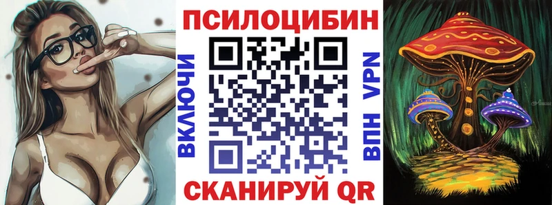 Псилоцибиновые грибы Psilocybe Новосокольники